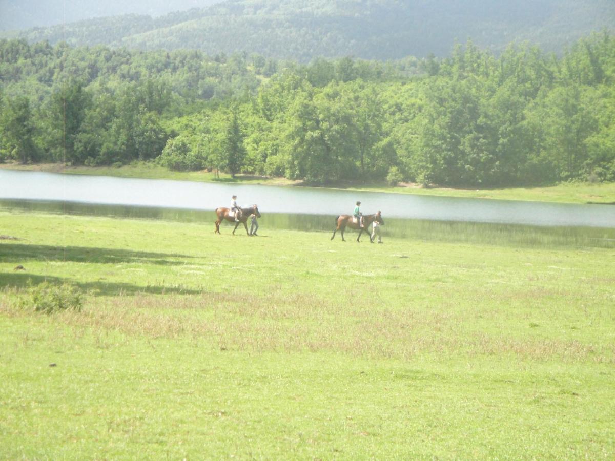 Cosy Lake House, Μια Ανάσα Πριν Τη Λίμνη Kalivia  Экстерьер фото